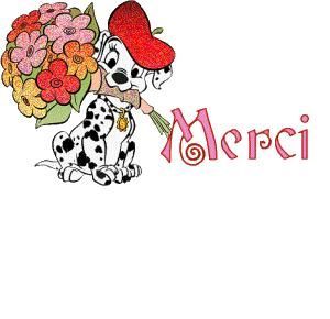 Merci et Félicitation